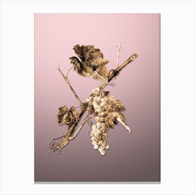 Gold Botanical Vermentino Grapes on Rose Quartz n.4875 Canvas Print