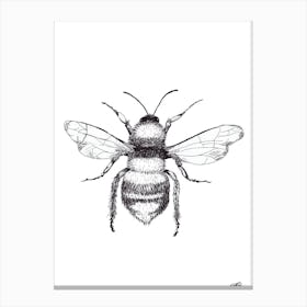 Black and White Honeybee Canvas Print