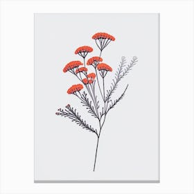 Yarrow Floral Minimal Line Drawing 2 Flower Canvas Print