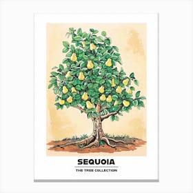 Sequoia Tree Storybook Illustration 1 Poster Canvas Print