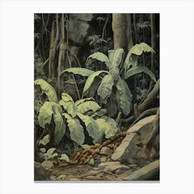Vintage Jungle Botanical Illustration Banana Plant 4 Canvas Print