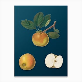 Vintage Apple Botanical Art on Teal Blue n.0954 Canvas Print