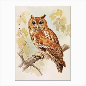 Tawny Owl Vintage Illustration 2 Canvas Print