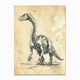 Sinornithosaurus Dinosaur Black Shading 2 Canvas Print