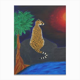 Cheetah at sunset Canvas Print