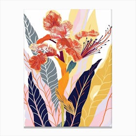 Colourful Flower Illustration Celosia 4 Canvas Print
