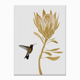 Hummingbird & Flower I Canvas Print
