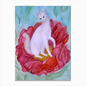 Cats Have Fun The White Turkish Angora Cat On A Red Peony Flower Canvas Print