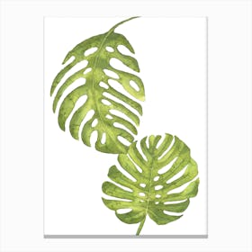 Two Green Floral Leafs Canvas Print
