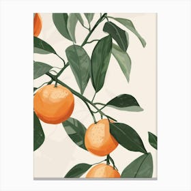 Clementines Close Up Illustration 5 Canvas Print