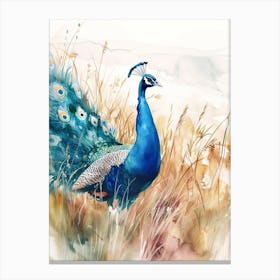 Watercolour Peacock Walking Through The Grass Canvas Print