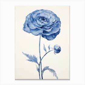 Blue Botanical Ranunculus 2 Canvas Print