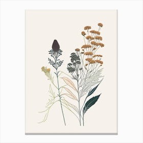 Boneset Spices And Herbs Minimal Line Drawing 2 Canvas Print