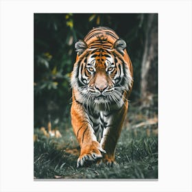 Tiger 2 Canvas Print