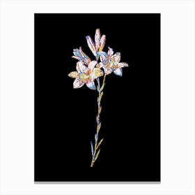 Stained Glass Madonna Lily Mosaic Botanical Illustration on Black n.0051 Canvas Print