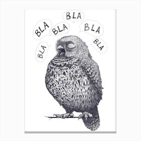 Owl Bla Bla Bla Canvas Print