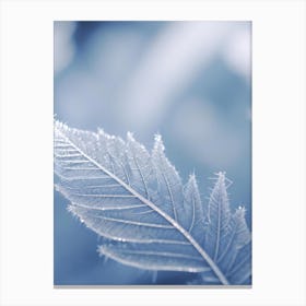 Frosty Leaf Canvas Print