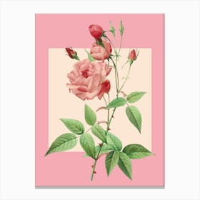 Pink Roses Canvas Print