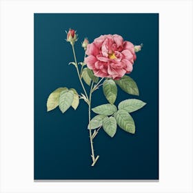Vintage French Rose Botanical Art on Teal Blue n.0632 Canvas Print