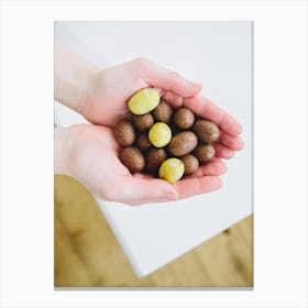 Woman'S Hands Holding Chocolate Canvas Print