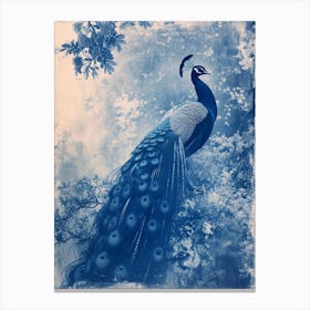 Peacock In The Wild Cyanotype Inspired 6 Canvas Print