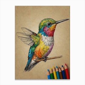 Hummingbird 38 Canvas Print