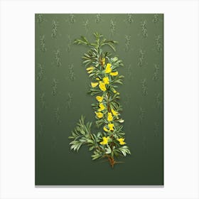 Vintage Caragana Spinosa Botanical on Lunar Green Pattern n.0105 Canvas Print