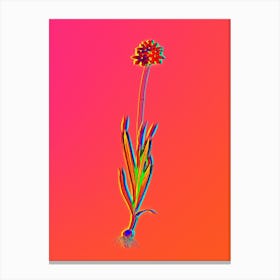Neon Orange Ixia Botanical in Hot Pink and Electric Blue n.0550 Canvas Print