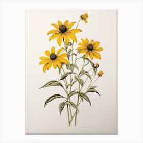 Black Eyed Susans Flower Vintage Botanical 0 Canvas Print