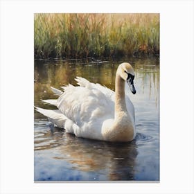 Trumpeter Swan Canvas Print