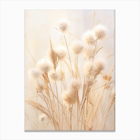 Boho Dried Flowers Cornflower 1 Canvas Print