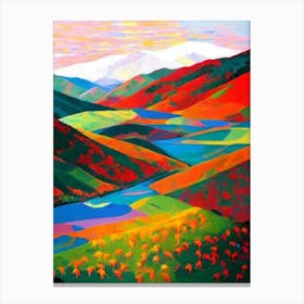 Hemis National Park 1 India Abstract Colourful Canvas Print
