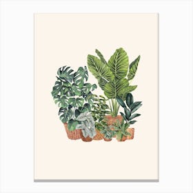Plant Gang 8 Canvas Print