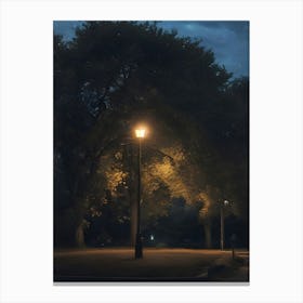 Night In The Park Canvas Print