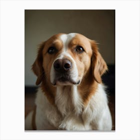 Golden Retriever Canvas Print