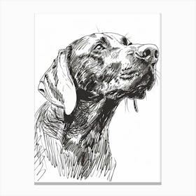 Weimaraner Dog Line Sketch 2 Canvas Print