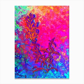 Red Dragon Flowers Botanical in Acid Neon Pink Green and Blue n.0219 Canvas Print