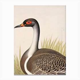 Canada Goose James Audubon Vintage Style Bird Canvas Print
