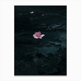 Dark Flower 15 Canvas Print