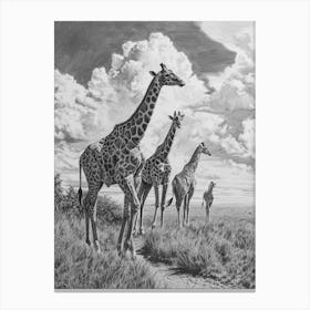 Giraffe Walking Down The Path Pencil Drawing 3 Canvas Print