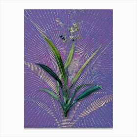 Vintage Flax Lilies Botanical Illustration on Veri Peri n.0233 Canvas Print