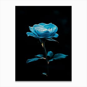 Blue Rose 1 Canvas Print