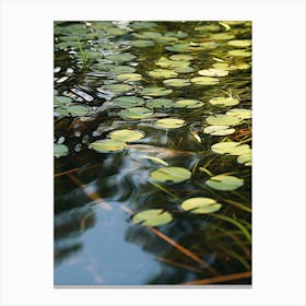 Lily Pads Canvas Print