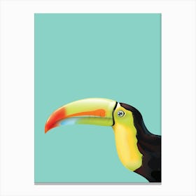 Toucan Canvas Print