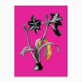 Vintage Brazilian Amaryllis Black and White Gold Leaf Floral Art on Hot Pink n.1153 Canvas Print
