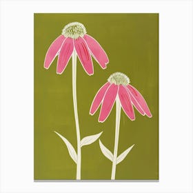 Pink & Green Coneflower 1 Canvas Print
