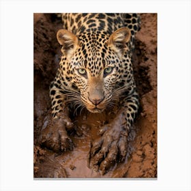 African Leopard Muddy Paws Realism 2 Canvas Print
