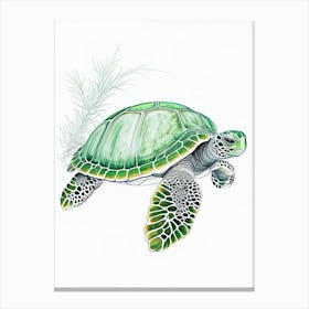 Green Sea Turtle (Chelonia Mydas), Sea Turtle Quentin Blake Illustration 2 Canvas Print