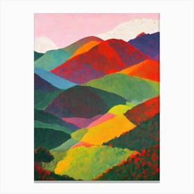 Salonga National Park 1 The Democratic Republic Of The Congo Abstract Colourful Canvas Print
