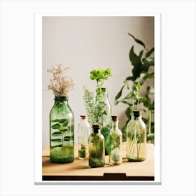 Botanical Bottles Canvas Print